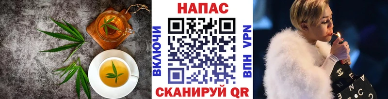 KRAKEN онион  Гатчина  Cannafood конопля  цена наркотик 