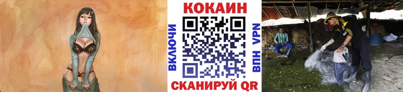 Кокаин 99%  гидра сайт  Гатчина 