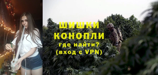 сатива Коряжма
