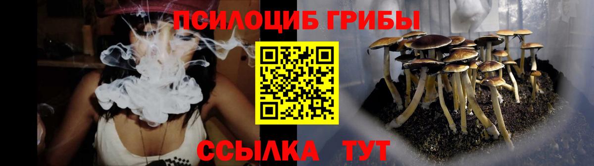 дарнет шоп  Псилоцибиновые грибы мухоморы  Вход с VPN  Гатчина  Галлюциногенные грибы Cubensis 