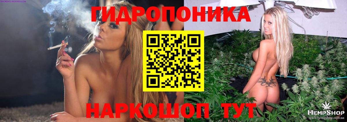 Гатчина  Марихуана MAZAR  Каннабис OG Kush  Вход с VPN 